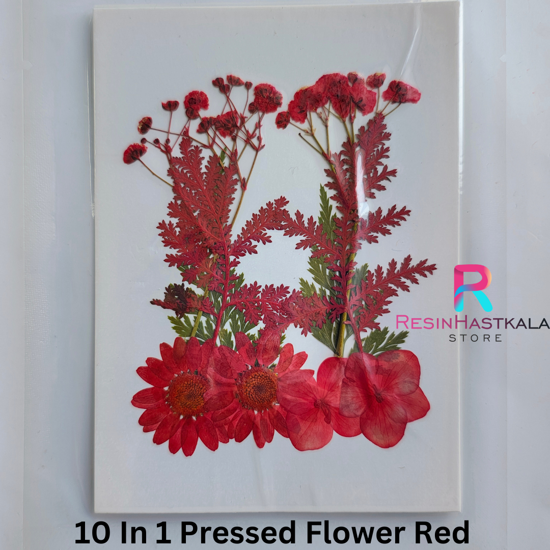 Red 10 In 1 Pressed Flower