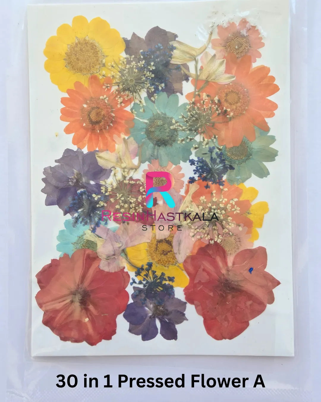 30 in 1 Pressed Flower A