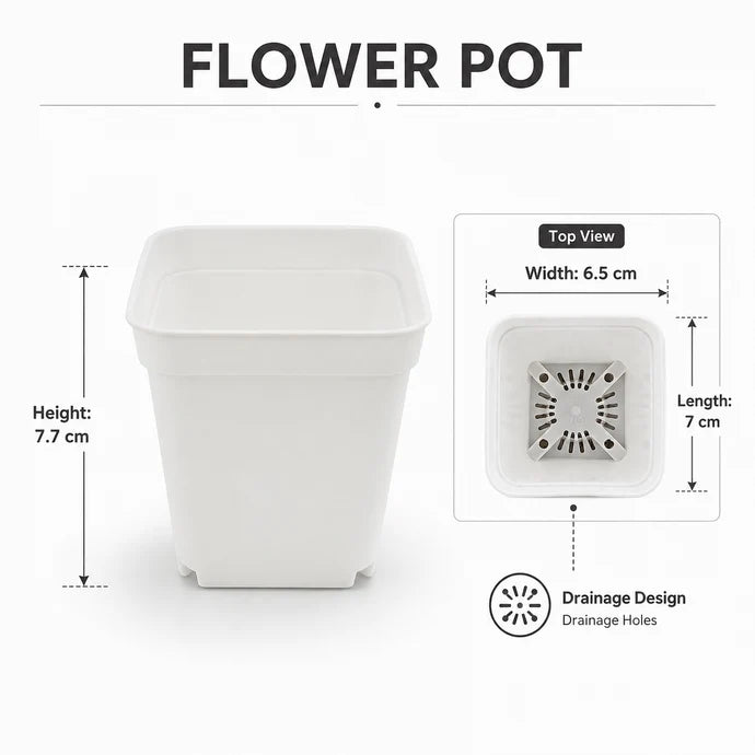 Square Plastic Flower Pot with Drainage Holes – 7.7 × 6.5 × 7 cm | Pack of 5