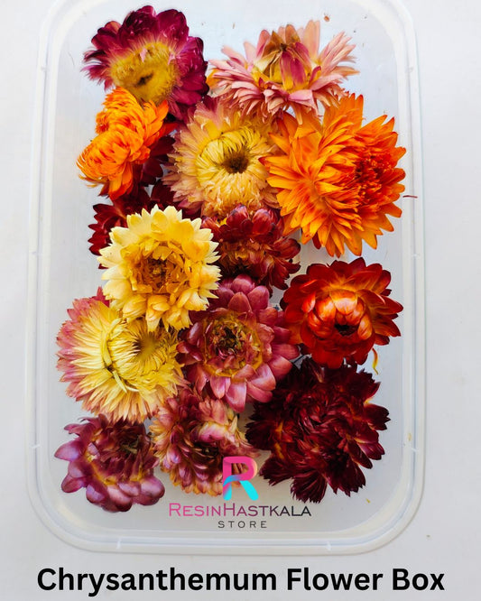 Chrysanthemum Flower Box