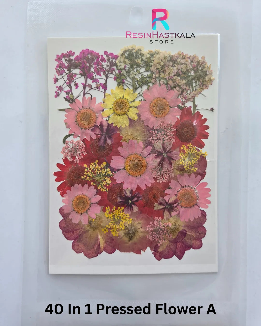40 In 1 Pressed Flower A