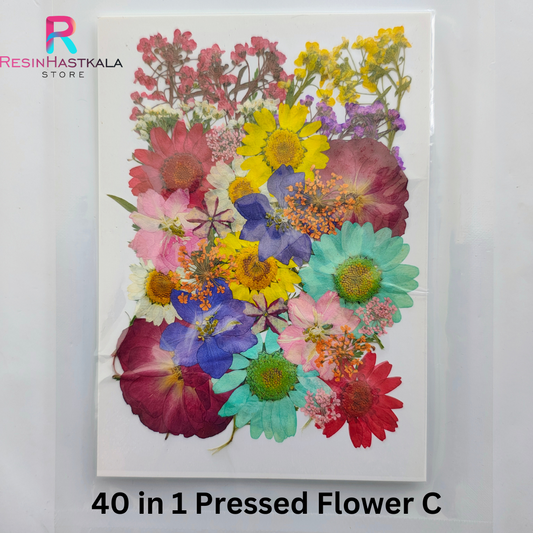 40 In 1 Pressed Flowers C