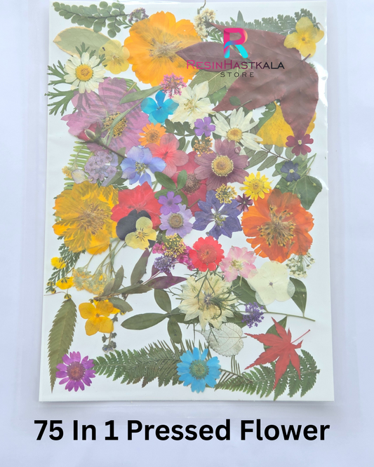75 In 1 Pressed Flower