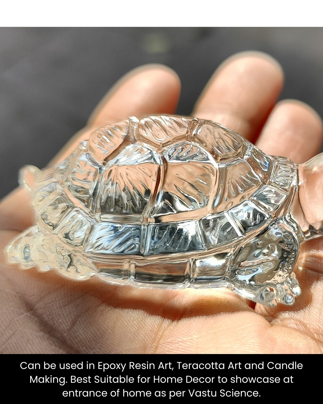Big Turtle Mould