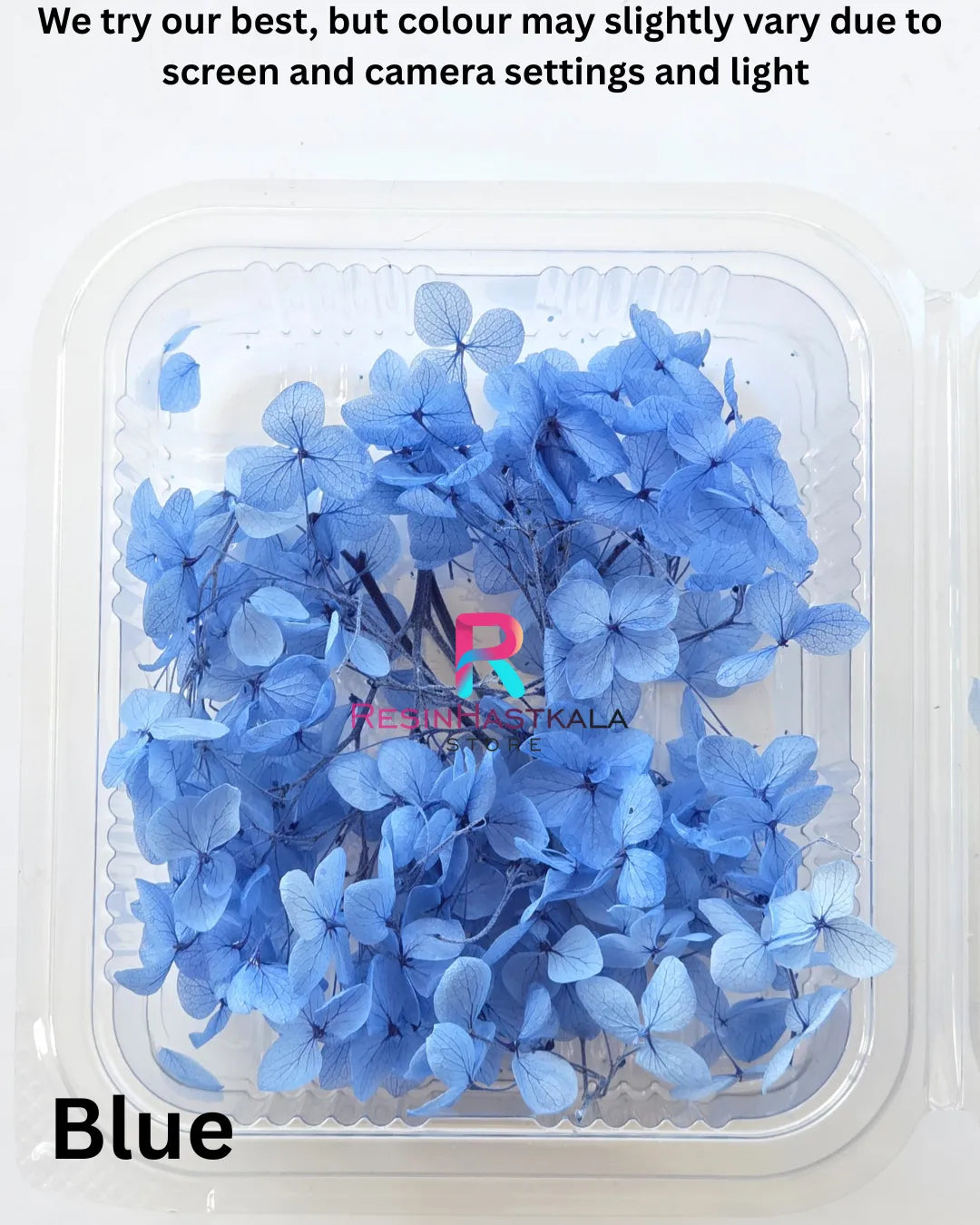 Blue Hydrangea Dry Flower Box