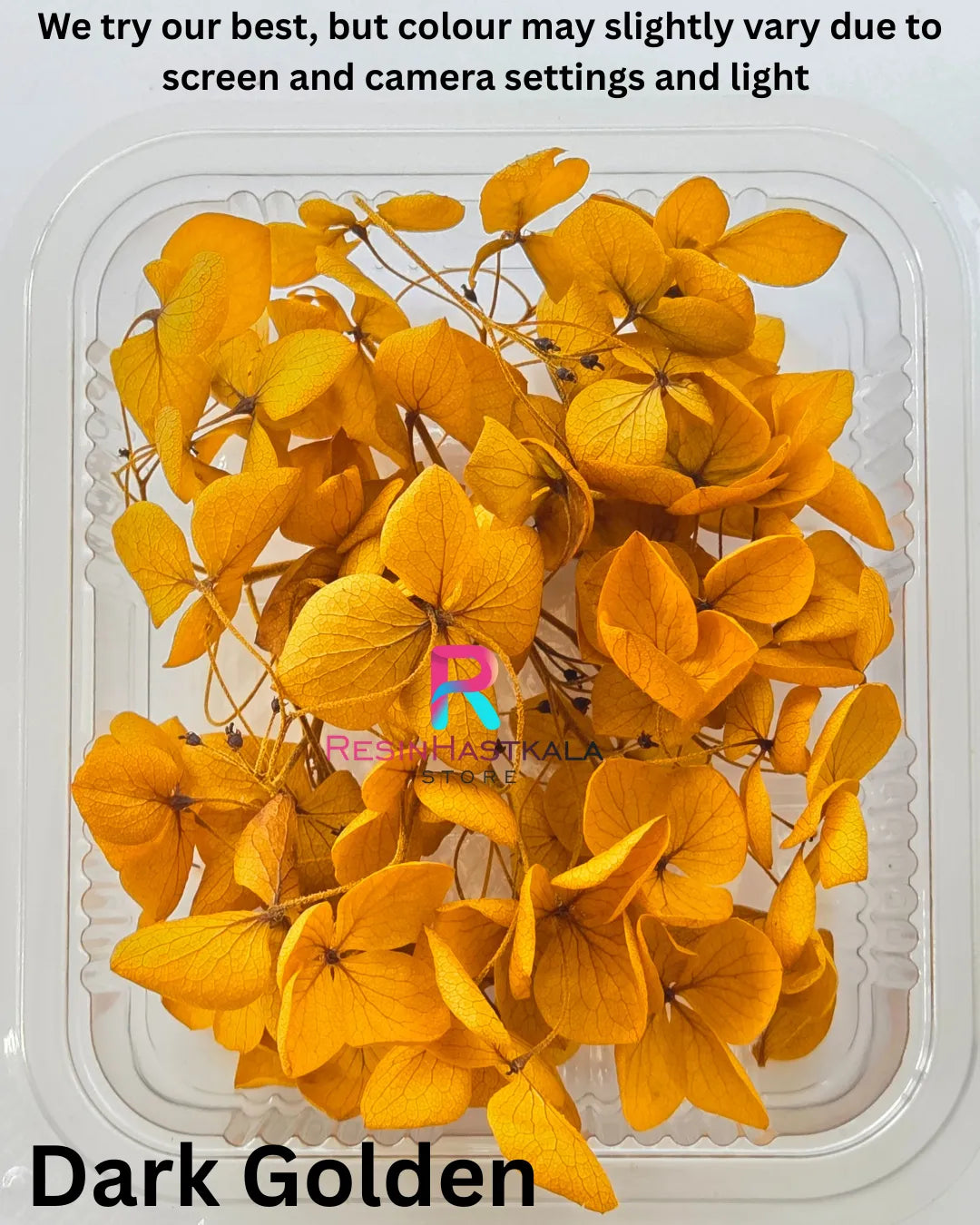 Dark Golden Hydrangea Dry Flower Box