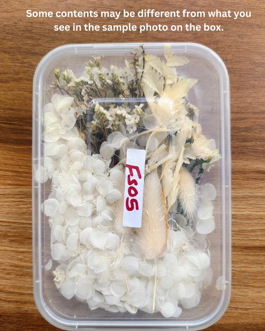 Dry Flower Box (FS05)