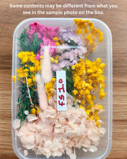 Dry Flower Box (FS10)