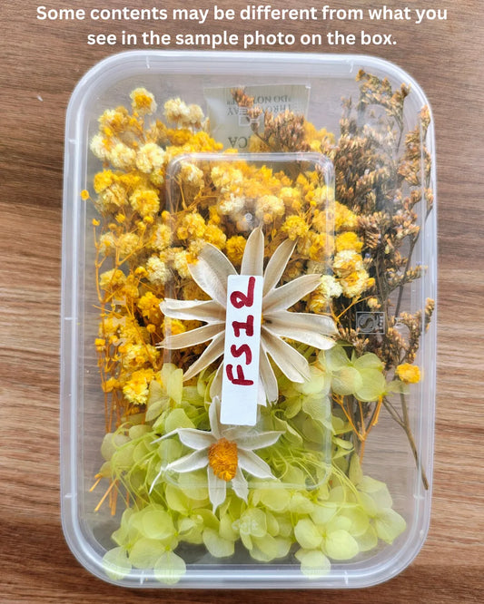 Dry Flower Box (FS12)