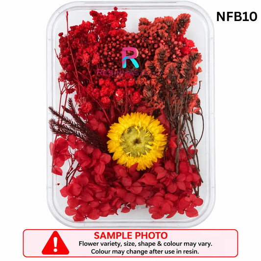 Dry Flower Box (NFB10)