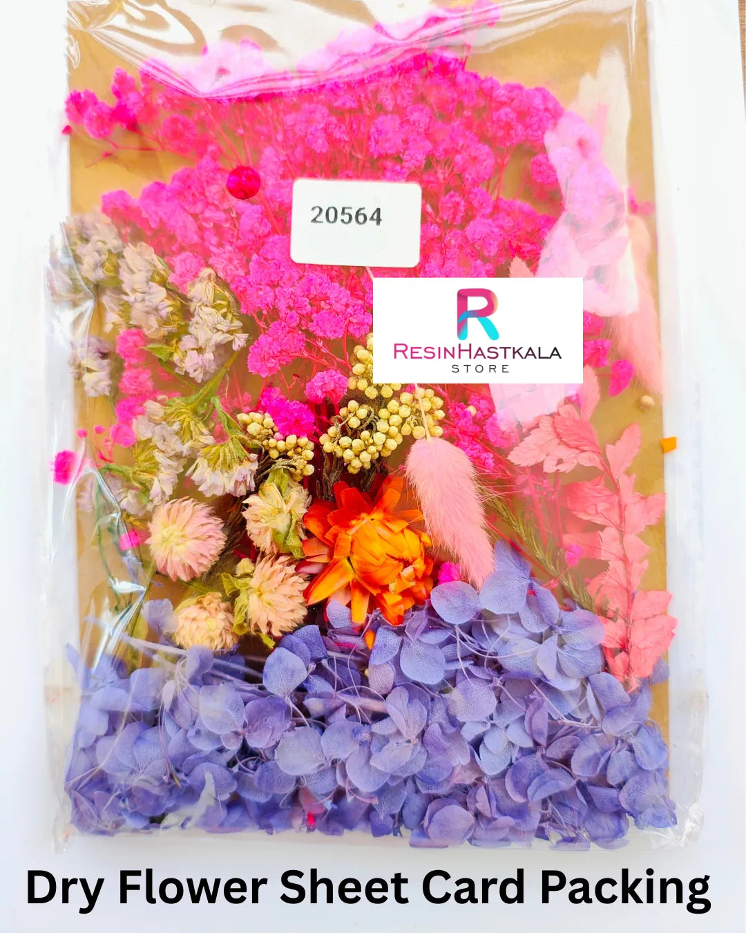 Dry Flower Sheet Card Packing (20564)