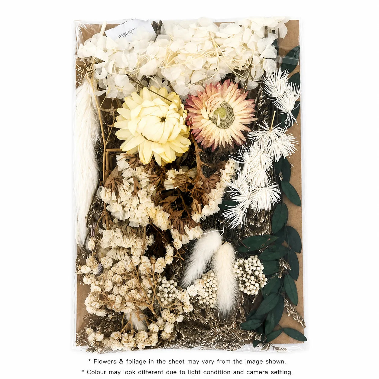 Dry Flower Sheet Card Packing – FL6001