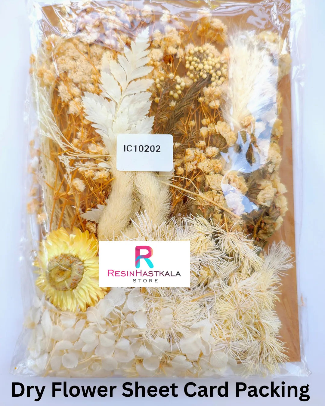Dry Flower Sheet Card Packing (IC10202)