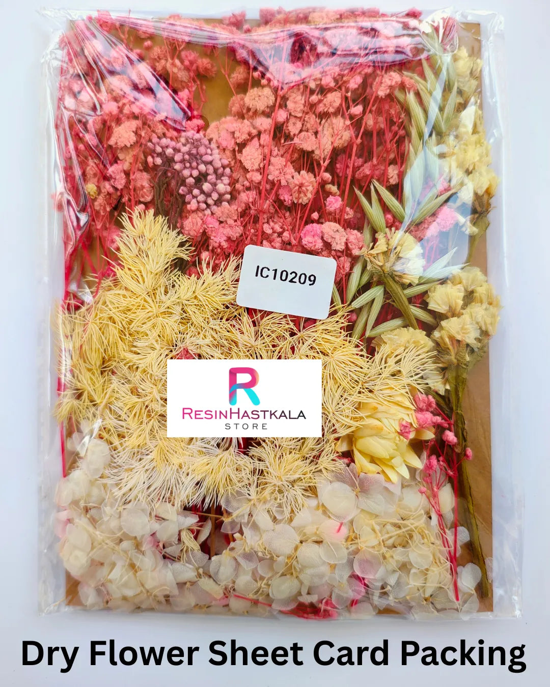 Dry Flower Sheet Card Packing (IC10209)