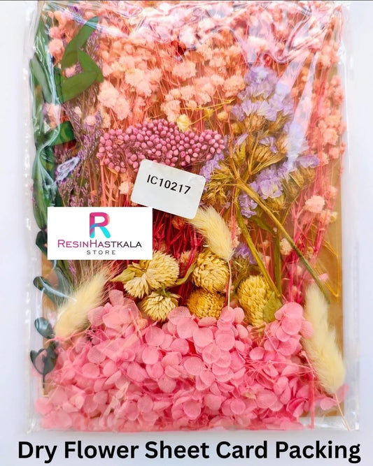 Dry Flower Sheet Card Packing (IC10217)