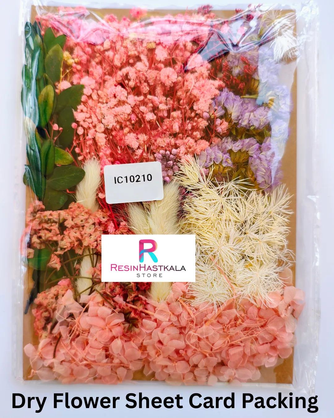 Dry Flower Sheet Card Packing (IC10210)
