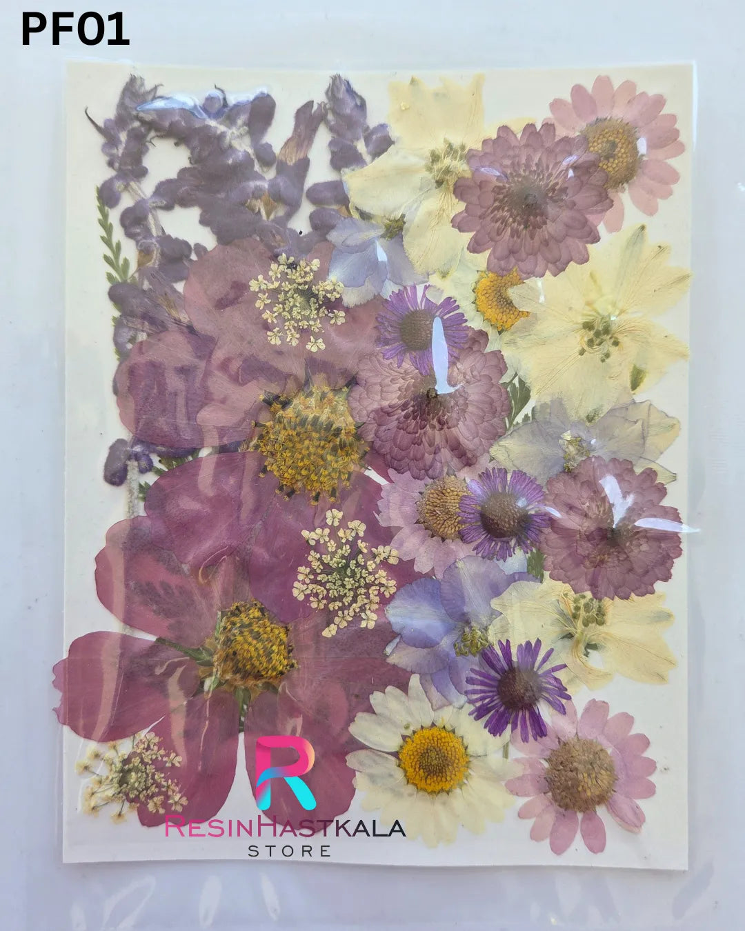 Dry Pressed Flower (PF01)