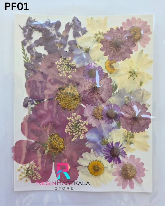 Dry Pressed Flower (PF01)