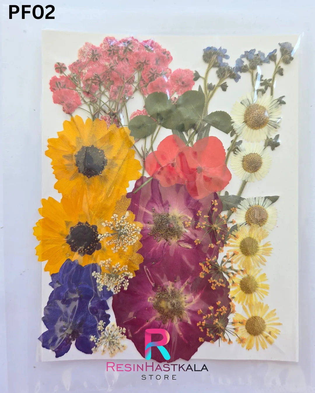 Dry Pressed Flower (PF02)