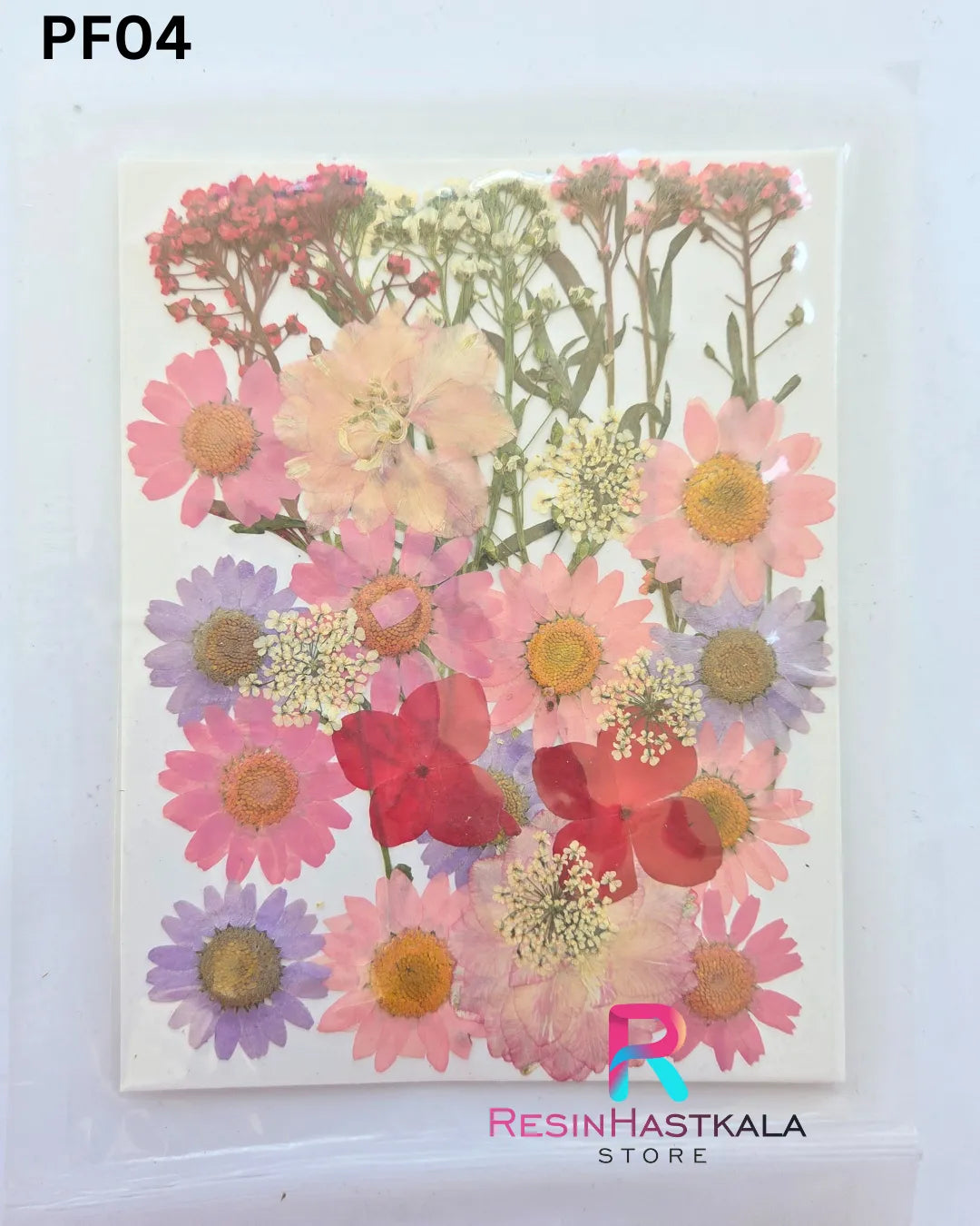 Dry Pressed Flower (PF04)