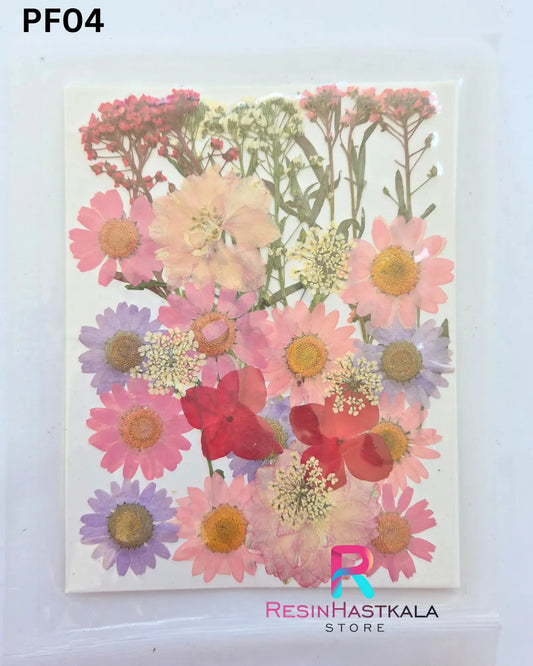 Dry Pressed Flower (PF04)