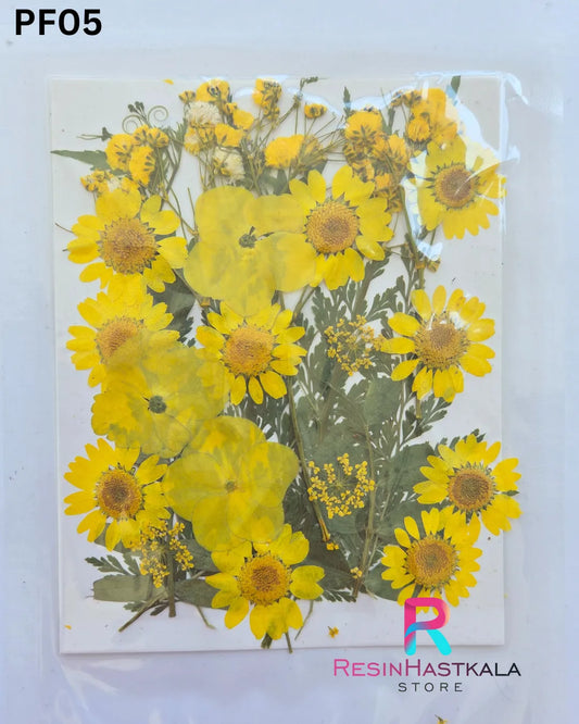 Dry Pressed Flower (PF05)