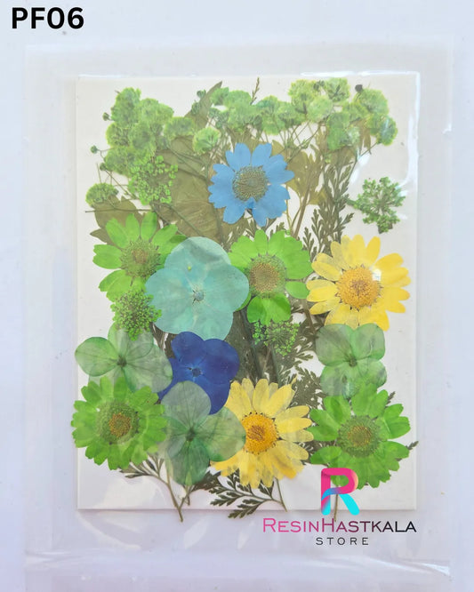Dry Pressed Flower (PF06)