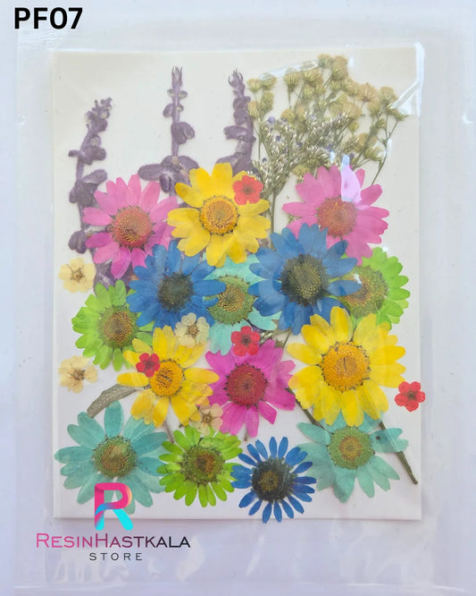 Dry Pressed Flower (PF07)