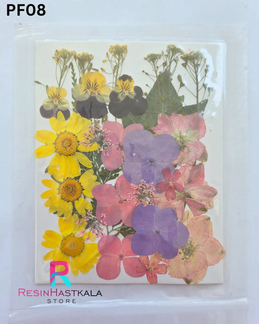 Dry Pressed Flower (PF08)