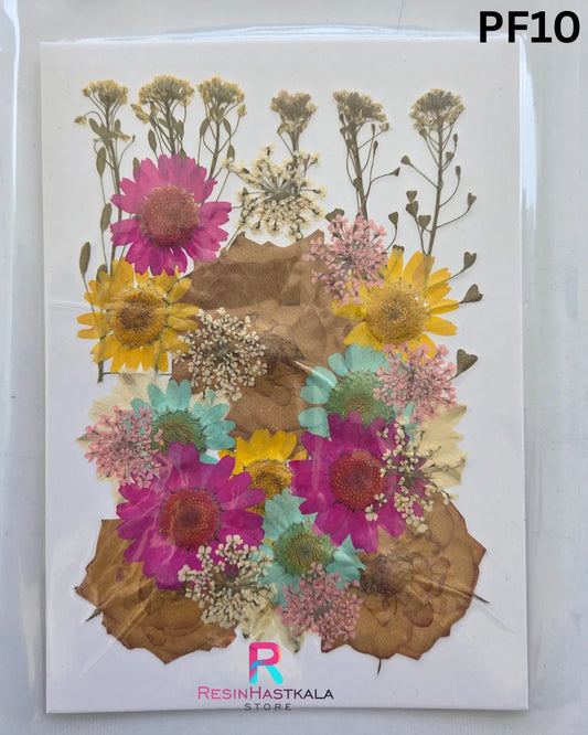 Dry Pressed Flower (PF10)