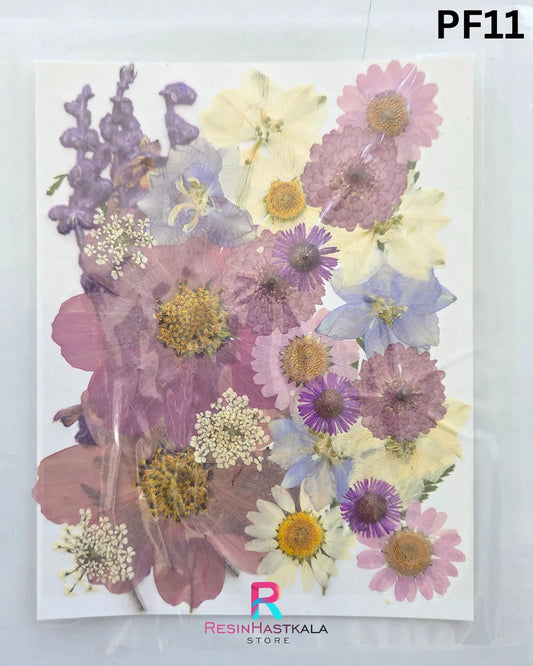 Dry Pressed Flower (PF11)