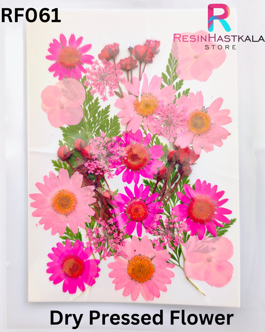 Dry Pressed Flower (RF061)