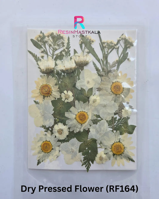 Dry Pressed Flower (RF164)