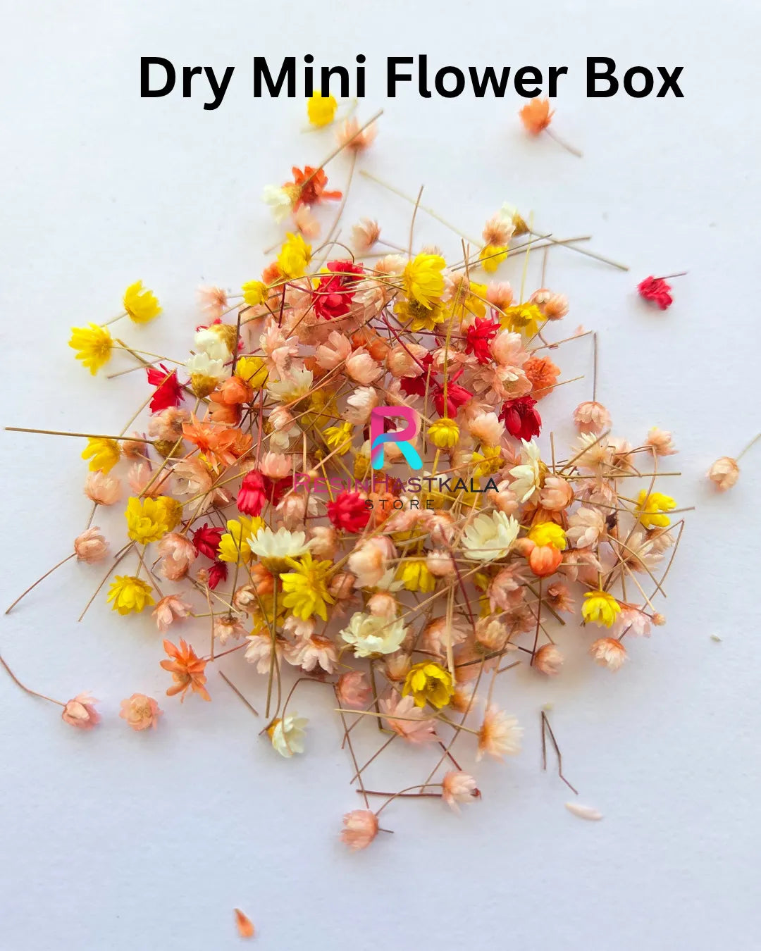 Dry Mini Flower Box