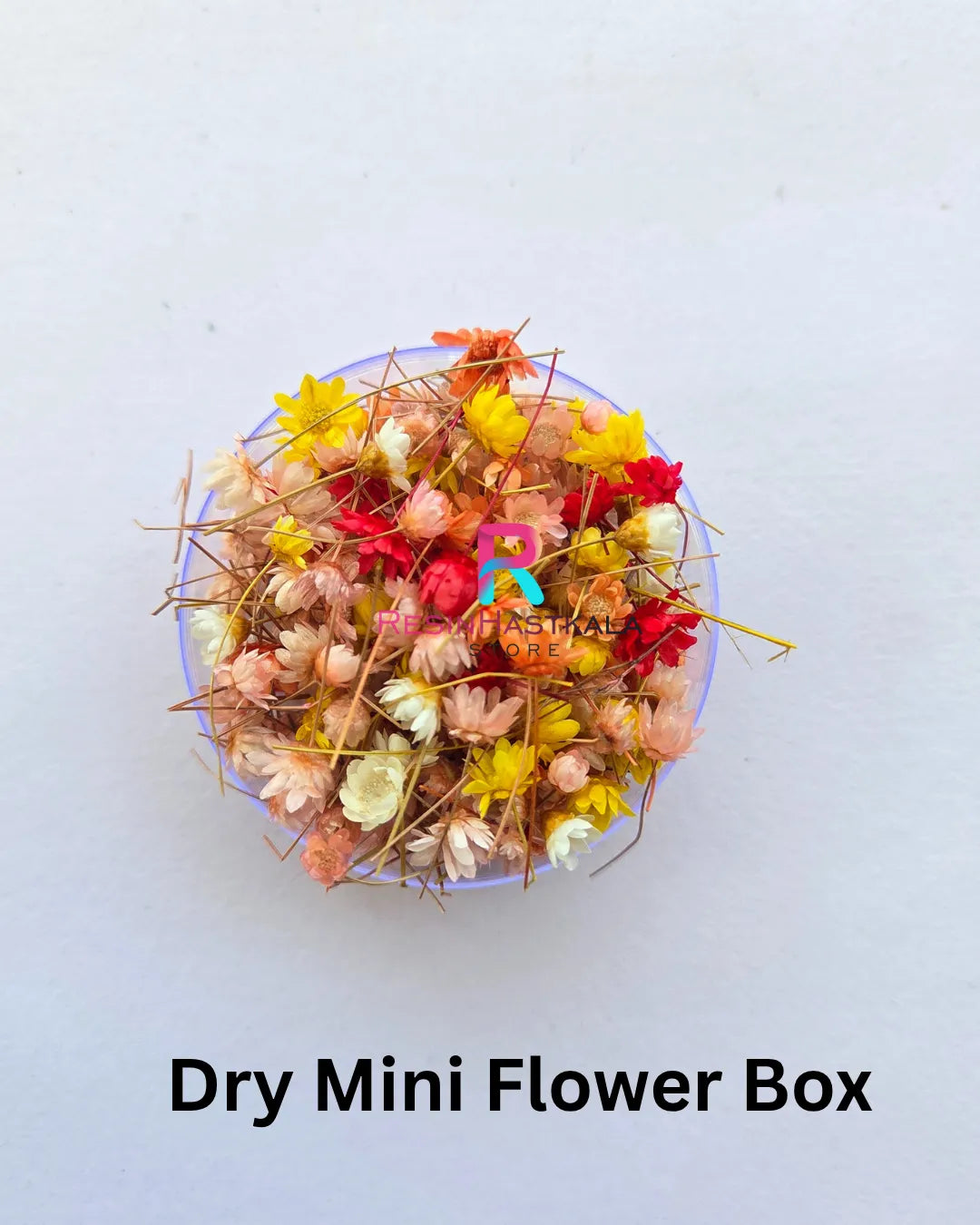 Dry Mini Flower Box