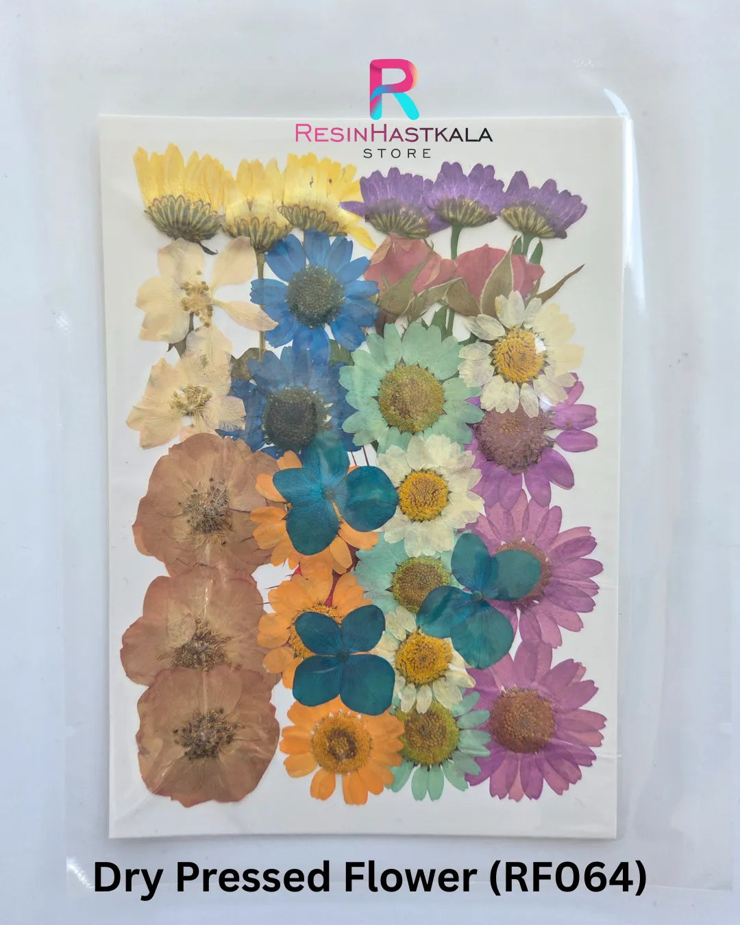 Dry Pressed Flower (RF064)