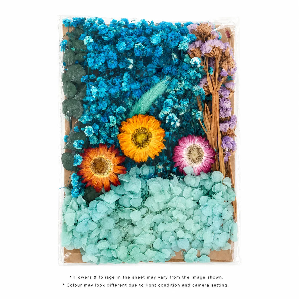 Dry Flower Sheet Card Packing – FL6006