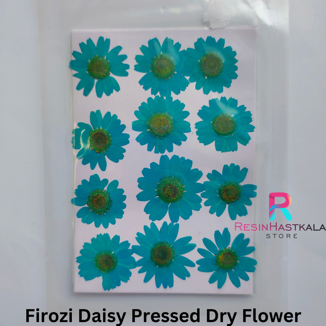 Firozi Daisy Pressed Dry Flower