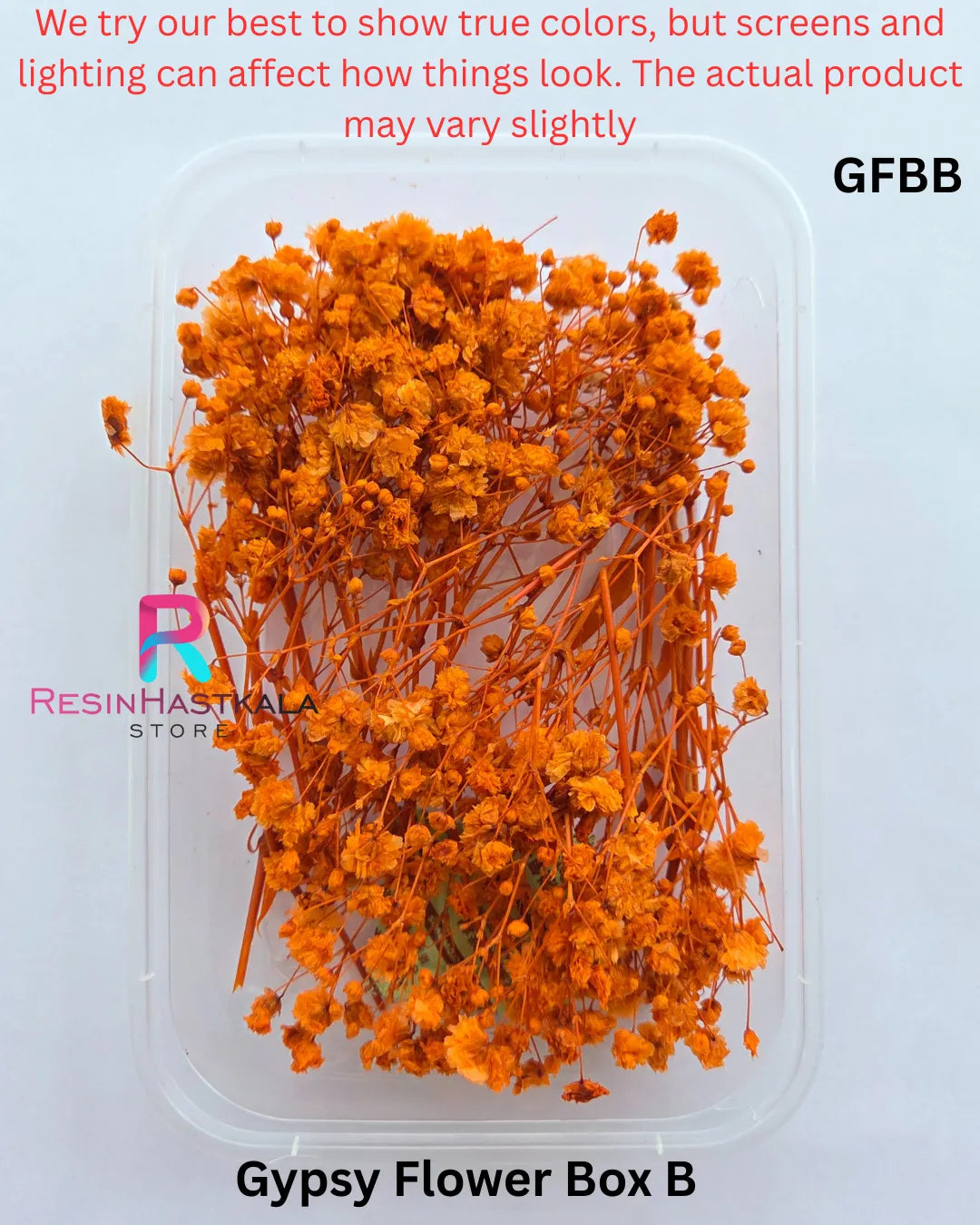 Gypsy Flower Box B (GFBB)