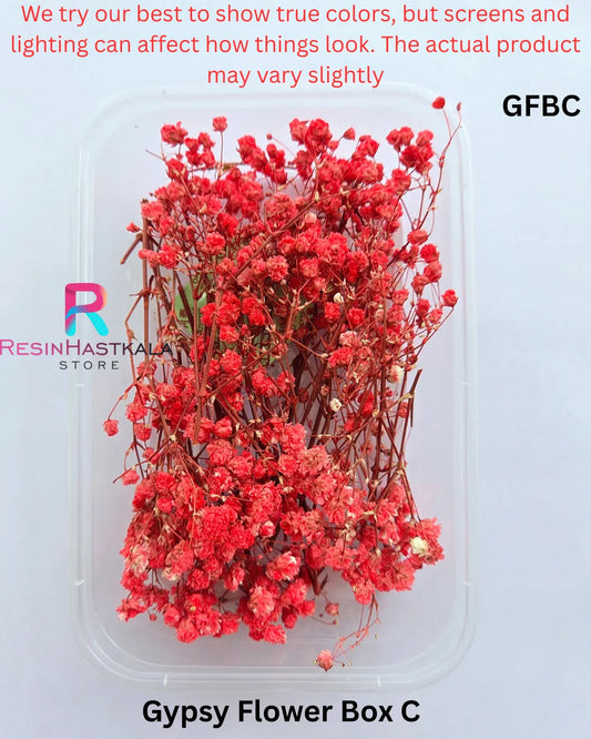 Gypsy Flower Box C (GFBC)