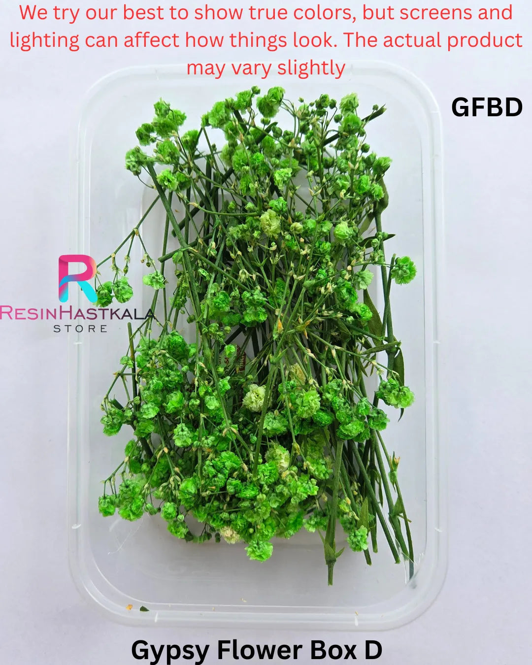 Gypsy Flower Box D (GFBD)