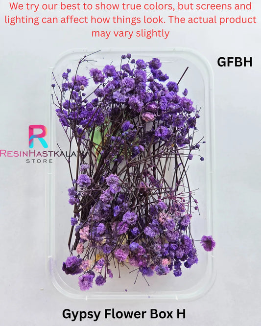 Gypsy Flower Box H (GFBH)