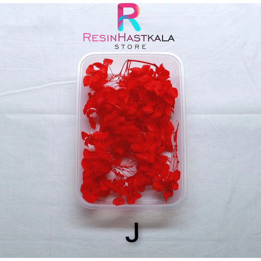 Hydrangea Dry Flower Box (J)