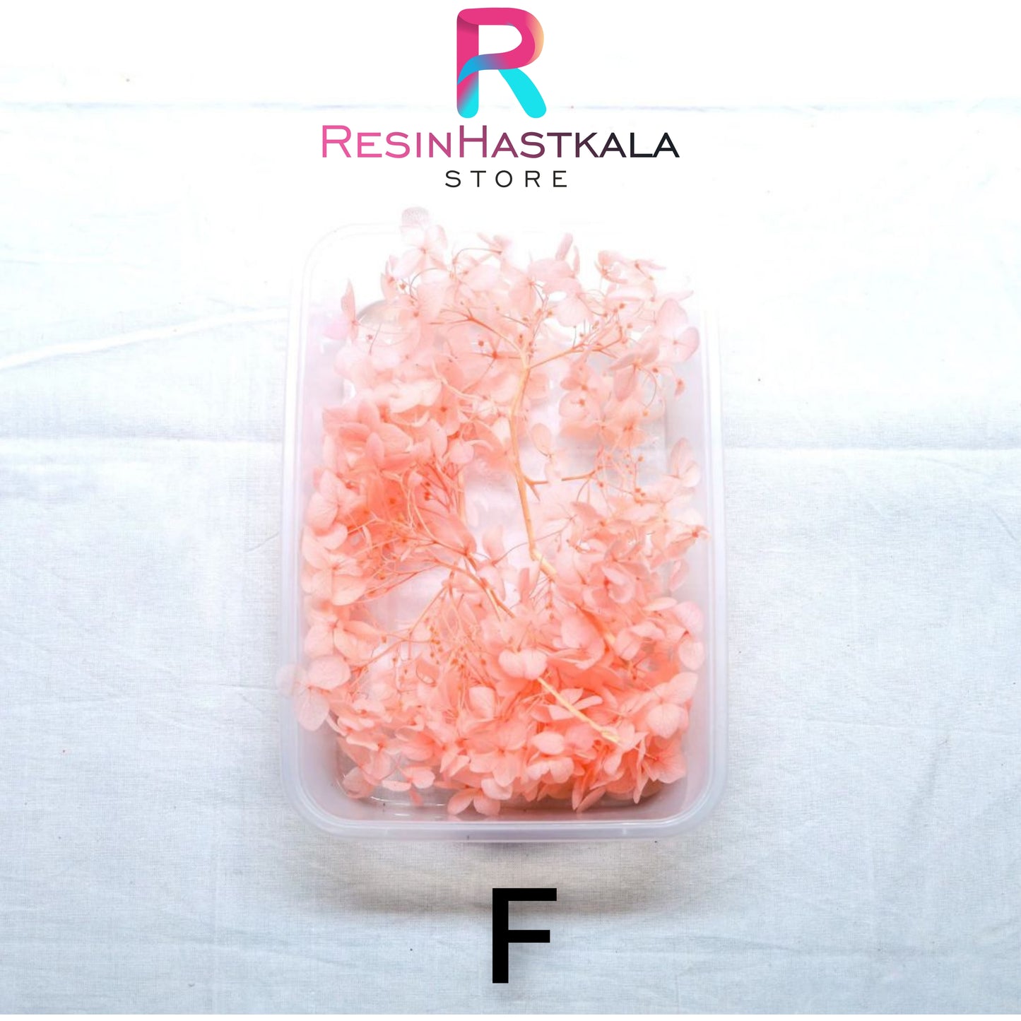 Hydrangea Dry Flower Box (F)