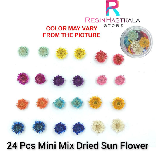 24 Pcs Mini Mix Dried Sun Flower
