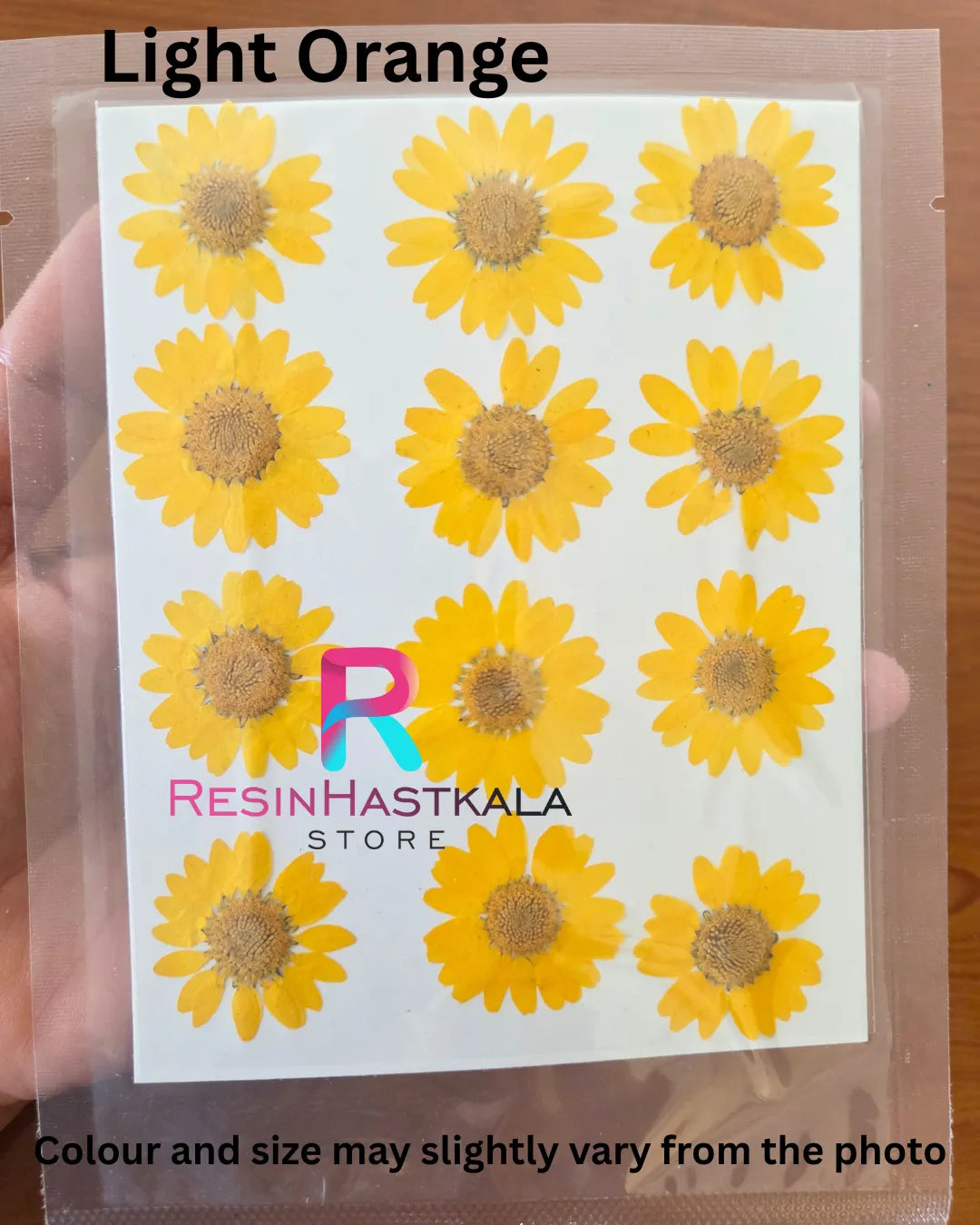 Light Orange Pressed Dry Daisy Flower