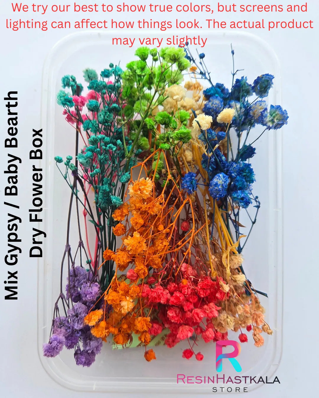 Mix Gypsy / Baby Bearth Dry Flower Box