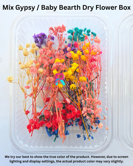 Mix Gypsy / Baby Bearth Dry Flower Box
