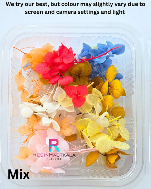Mix Hydrangea Dry Flower Box
