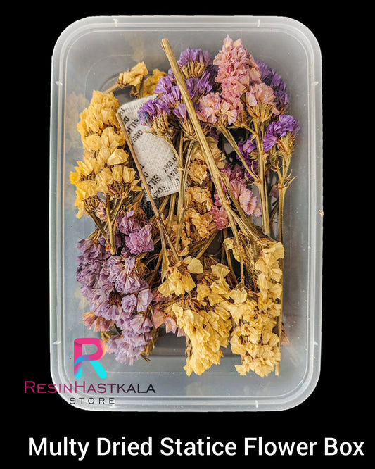 Multy Dried Statice Flower Box